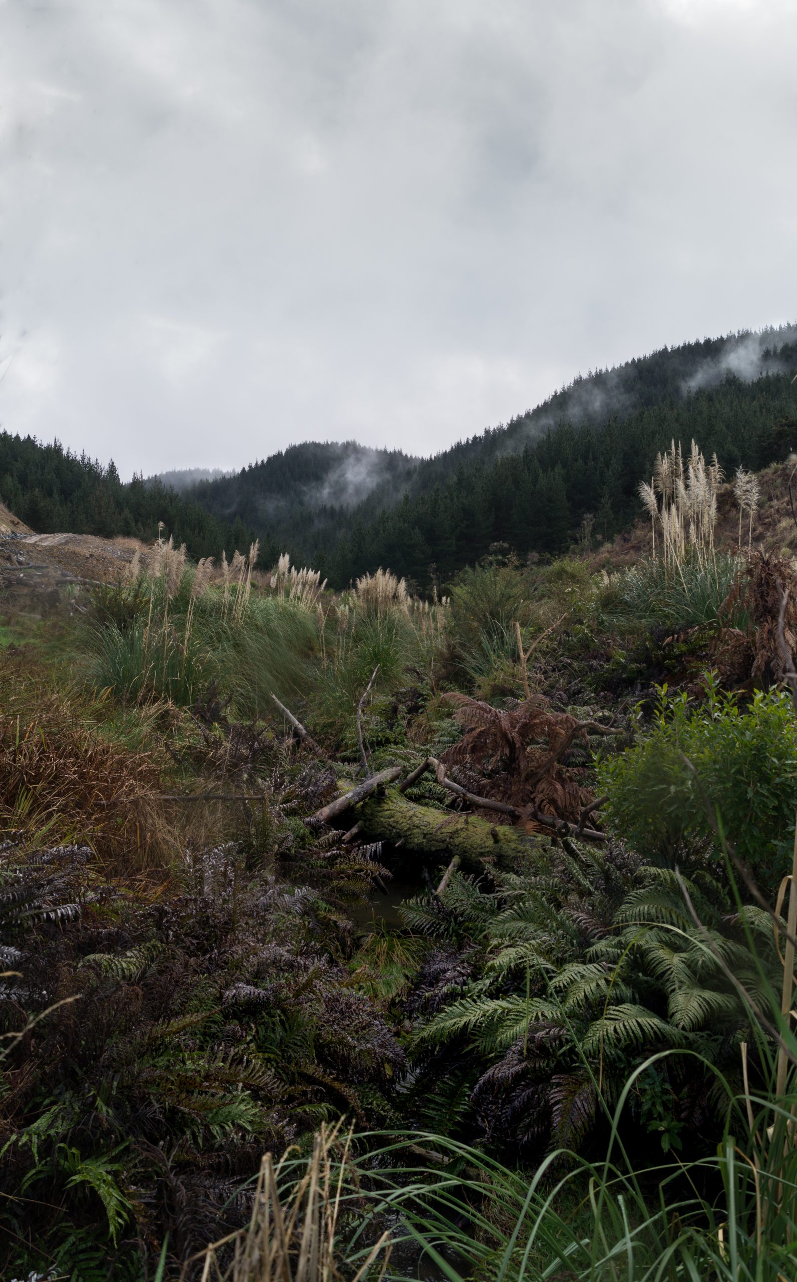 New Zealand